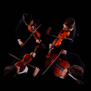 Overture Piccante : Concert quatuor à cordes